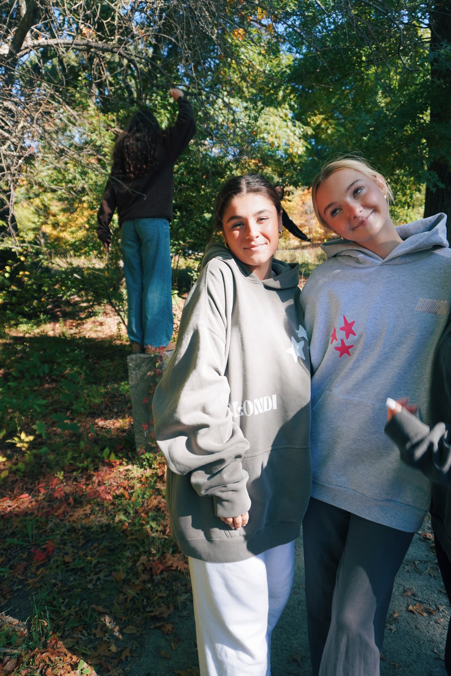 Shine Bright Hoodie